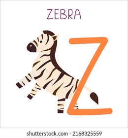 Capital letter Z of English childish alphabet with zebra. Cute kids font for kindergarten and school education. 