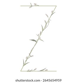Capital letter Z with floral motifs. Botanical alphabet with herbs and wildflowers. Blooming green branches of Polygonum plant. Knotweed or Smartweed flower. Isolated on white background.