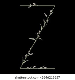 Capital letter Z with floral motifs. Botanical alphabet with herbs and wildflowers. Blooming green branches of Polygonum plant. Knotweed or Smartweed flower. On black background.