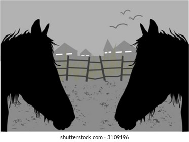 caplet horses