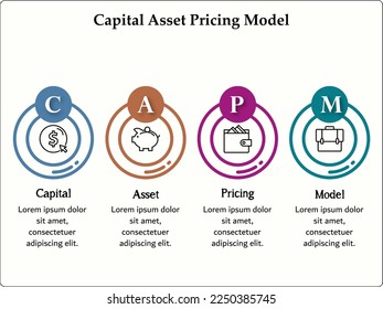 CAPM - Capital Asset Pricing Model with icons and description placeholder