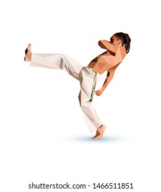 Capoeira Player Low Poly Brazil