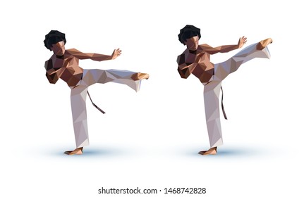 Capoeira Player Low Poly Vector Brazil