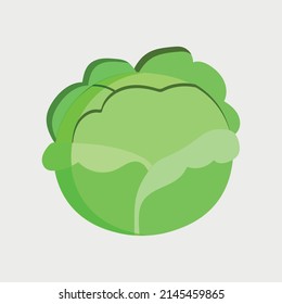 cappage as ripe vegetable and healthy raw food vector 