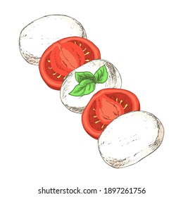 Caprese salad with Mozzarella Cheese, sliced tomatoes and basil isolated on white background. Dairy products. Template for postcard, banner, poster, web design, menu. Hand Drawn vector illustration.