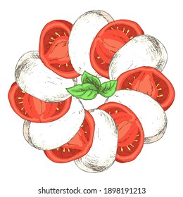 Caprese salad with Mozzarella Cheese, tomatoes, basil. Top view. Dairy products. Template for postcard, banner, poster, web design, menu. Hand Drawn vector illustration.