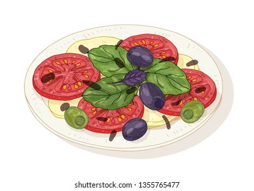 Caprese salad on plate isolated on white background. Healthy delicious Italian restaurant meal made of fresh organic tomatoes, mozzarella, basil, olives. Hand drawn realistic vector illustration.
