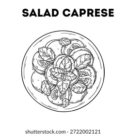 Caprese salad sketch. Vector drawing  illustration. Italian food. Italian cuisine. Hand drawn. Top view. Not AI Generated.