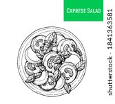 Caprese salad vector illustration. Italian cuisine.  Hand drawn sketch illustration. Italian food. Top view.