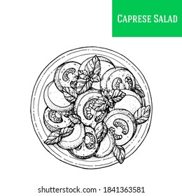 Caprese salad vector illustration. Italian cuisine.  Hand drawn sketch illustration. Italian food. Top view.