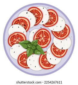 Caprese salad. vector illustration on a white background