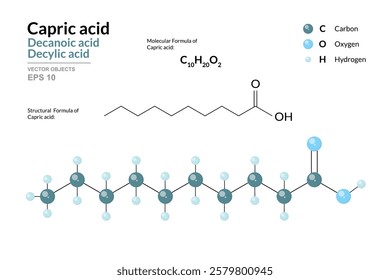 Capric Acid. Decanoic or Decylic Acid. Structural Chemical Formula and 3d Model of Molecule. C10H20O2. Atoms with Color Coding. Vector graphic Illustration for educational materials