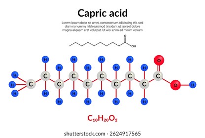 Capric, or decanoic acid, molecular structure formula, ball-and-stick model, suitable for education or chemistry science content. Vector illustration