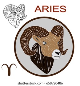 Capricorn astrological sign of the zodiac, head vector illustration