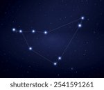 Capricorn constellation in night sky