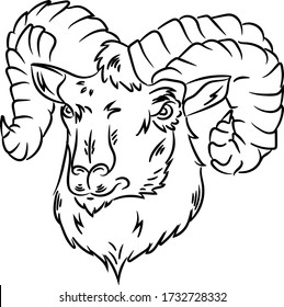 
Capricorn. Drawing for horoscopes. 
Ram linear drawing