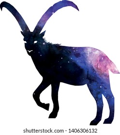 capricorn, goat, animals, horoscope, stars