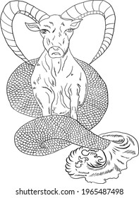 Capricorn vector and flower of Horoscope Symbols Astrology Icons Collection.Zodiac signs such as a aries, taurus, gemini, cancer, leo, virgo, libra, scorpio, sagittarius, capricorn, aquarius, pisces. 