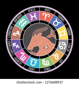 Capricorn zodiac sign. Aquarius, libra, leo, taurus, cancer, pisces, virgo, sagittarius, aries, gemini, scorpio. Astrological calendar collection, zodiacal round. Cartoon goat. Color vector horoscope
