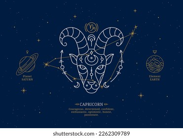 Capricorn zodiac sign with description of personal features. Astrology horoscope card with zodiac constellation on dark blue sky thin line vector illustration