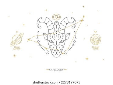 Capricorn zodiac sign with description of personal features. Astrology horoscope card with zodiac constellation on white background thin line vector illustration