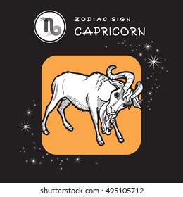 Capricorn - Zodiac Sign. Vector Icon of Zodiac Symbol. Traditional image of Cute Goat in Graphic Style.