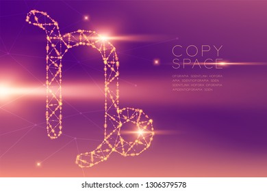 Capricorn Zodiac sign wireframe polygon futuristic bokeh light frame structure and lens flare, Fortune teller concept design illustration isolated on purple gradients background with copy space