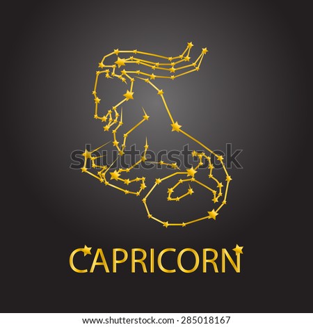 Capricorn zodiac signs