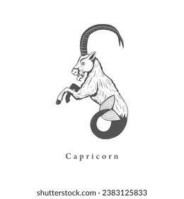Capricorn zodiac symbol in engraving style. Vector retro graphic illustration of astrological sign Sea-goat.
