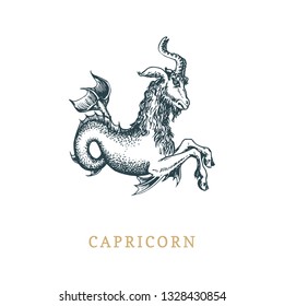 Capricorn zodiac symbol, hand drawn in engraving style. Vector retro graphic illustration of astrological sign Sea-goat.