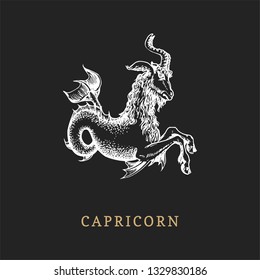 Capricorn zodiac symbol, hand drawn in engraving style. Vector graphic retro illustration of astrological sign Sea-goat.