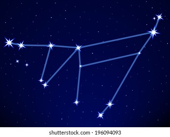 Capricornus constellation on the starry sky 