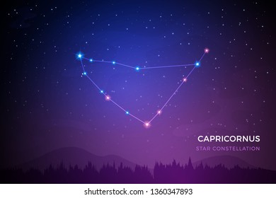 Capricornus star constellation on the beautiful night sky vector illustration