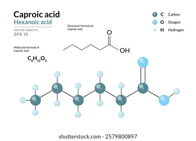 Caproic Acid. Hexanoic Acid. Structural Chemical Formula and 3d Model of Molecule. C6H12O2. Atoms with Color Coding. Vector graphic Illustration for educational materials, scientific articles