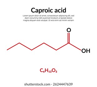 Caproico, o ácido hexanoico, fórmula de estructura molecular, adecuado para contenido de educación o ciencia química. Ilustración vectorial