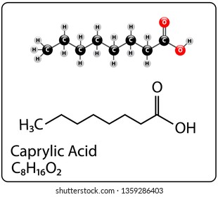 Caprylic Acid Molecule Structure