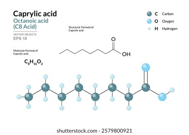 Caprylic Acid. Octanoic Acid or C8. Structural Chemical Formula and 3d Model of Molecule. C8H16O2. Atoms with Color Coding. Vector graphic Illustration for educational materials, scientific articles