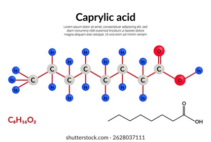 Ácido caprílico, ou octanoico, fórmula de estrutura molecular, modelo bola-e-vara, adequado para a educação ou conteúdo da ciência química. Ilustração vetorial