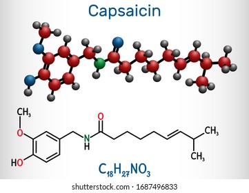Capsaicin,  alkaloid, C18H27NO3 molecule. It is chili pepper extract with non-narcotic analgesic properties. Structural chemical formula and molecule model. Vector illustration