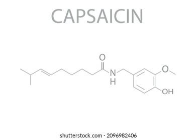 Capsaicin Chili Pepper Molecule. Skeletal Formula.