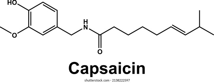 Capsaicin Molecule Chili Peppers Component. Chemical Formula.