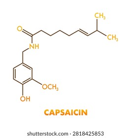 Capsaicin molecule structural drawing illustrating the chemical compound responsible for the pungent heat found in chili peppers and spices