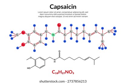 Capsaicin, organic compound, molecular structure formula, ball-and-stick model, suitable for education or chemistry science content. Vector illustration
