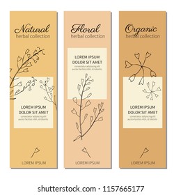 Capsella flower, Shepherd's purse, Capsella bursa-pastoris, the entire plant, hand drawn vector illustration, doodle ink silhouette isolated, decorative banner for design label cosmetics, organic shop