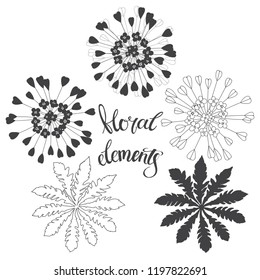 Capsella flower, Shepherd's purse, Capsella bursa-pastoris.Hand drawn outline and silhouette vector illustration, isolated floral elements for design on white background. 