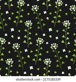 Capsella green field grasses dark seamless pattern. Shepherd's purse botanical illustration