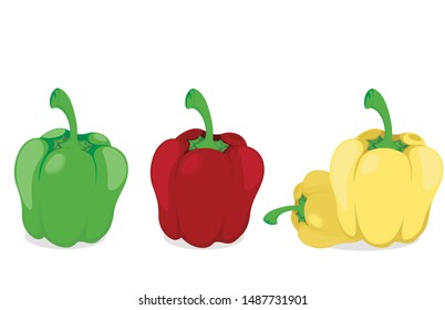 Capsicum detailed vector Red Green, Yellow Isolated on white background 