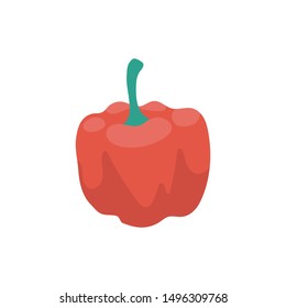 capsicum glyph flat vector icon
