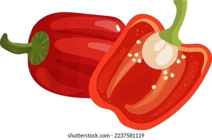 Capsicum High Resolution Vector Illustration.