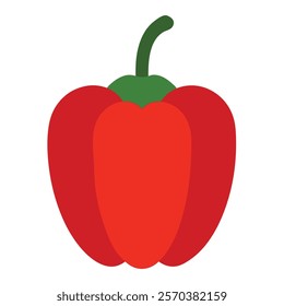 Capsicum isolated on white background vector illustration.